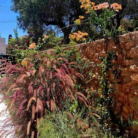 Fteri - Lassu Retreat * Zola